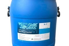 Men vi sinh Baicllus Clausii, cân bằng đường ruột cho tôm cá