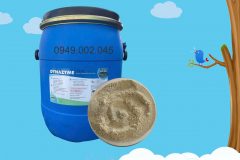 Dynazyme - Enzyme tăng trọng, hỗ trợ tiêu hóa tôm cá