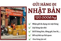 Gửi hàng đi Nhật - Tiến Việt Express