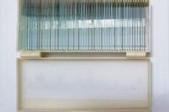 Bộ 50 mẫu tiêu bản cho kính hiển vi