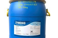 Enzyme Cellulase , enzyme tiêu hóa, phân hủy gốc rạ, xác lá cây, xác tảo