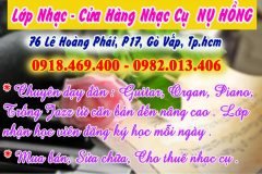 Địa điểm dạy đàn organ tại quận Gò Vấp