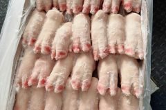 Thịt móng giò heo nhập khẩu – Không chất bảo quản, không nước