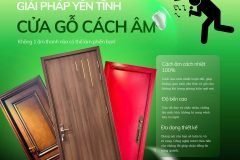 Cửa Gỗ Cách Âm: Giải Pháp Tối Ưu Cho Không Gian Sống Tĩnh Lặng Và Riêng Tư