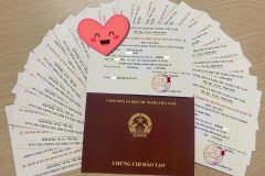 THI CHỨNG CHỉ HƯỚNG DẪN VIÊN/ ĐIỀU HÀNH
