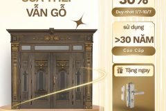 Cửa thép vân gỗ: Giải pháp bền bỉ, an toàn và sang trọng cho ngôi nhà Việt