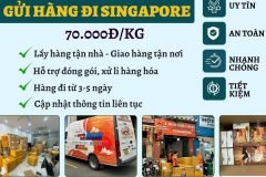 Gửi hàng đi Singapore - Tiến Việt Express