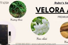 Body Mist Velora Armani 20ML – Chuẩn hương Armani, lưu hương đến 6h