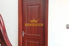 Cửa Thép Vân Gỗ Sơn Tĩnh Điện