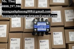 Contactor Togami CLK-20J-P6 220V - Nhập số lượng lớn, giá ưu đãi