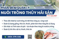cách tính giá thành và tập hợp chi phí ao nuôi thủy sản