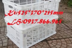 Sóng hở( sọt nguyên sinh), khay nhựa rỗng,  thùng hở, sọt nhựa, sọt đư