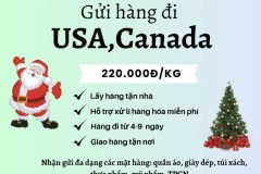 Gửi hàng đi Úc- Emery Express