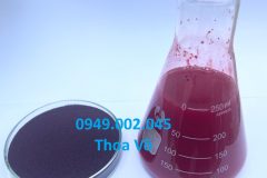 ASTAXANTHIN 10% CHO THỦY SẢN – TĂNG MÀU ĐỎ ĐẸP, CHỐNG OXY HÓA, NÂNG CAO SỨC KHỎE