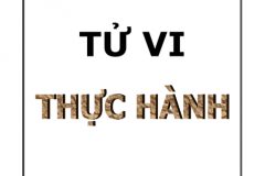 Tử Vi Thực Hành – Cách tiếp cận khoa học với tử vi