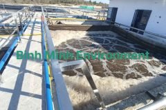 Xử lý nước thải chăn nuôi chi phí thấp
