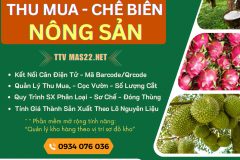 Phần mềm quản lý kinh doanh, sơ chế nông sản xuất khẩu