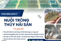 Phần mềm quản lý chi phí và tính giá thành ao nuôi, vùng nuôi thủy sản