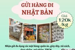 Gửi hàng đi Nhật Bản  - Emery  Express