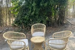 Ghế đơn mây tự nhiên hiện đại