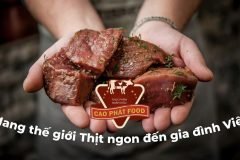 Tuyển gấp tài xế ô tô chạy xe Van làm tại khu vực nội thành HCM