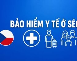Bảo hiểm y tế ở Séc cho người nước ngoài: du lịch, lao động, kinh doanh, đi theo, trên 65 tuổi — cách tính cụ thể
