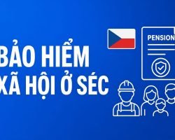 Bảo hiểm xã hội ở Séc cho người nước ngoài: lao động, OSVČ, đi theo, trên 65 tuổi — cách tính cụ thể