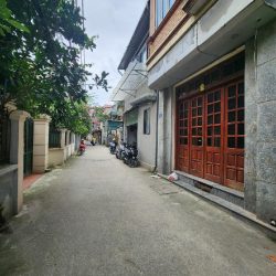 Bán đất vĩnh hưng 100M ô tô tránh kinh doanh hoàng mai