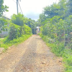 Đất hẻm view hồ đại ninh phú hội đức trọng Lâm Đồng