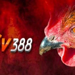 LINK VÀO SV388 MỚI NHẤT ĐƯỢC CẬP NHẬT