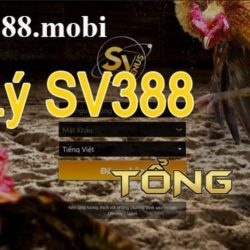 HƯỚNG DẪN CÁCH VÀO LINK NHÀ CÁI SV388 BỊ CHẶN Chi tiết