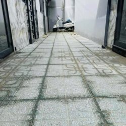 Nhà mới xinh xinh 1 lầu ngay tân chánh hiệp chỉ 780 triệu