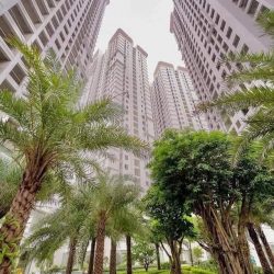 Với mức vốn ban đầu từ 790tr có thể sở hữu CHCC từ 62-72m2 phong cách Singapore