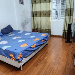 Bán nhà nam dư thông lĩnh nam 5 tầng dân xây kinh doanh nhỏ hoàng mai