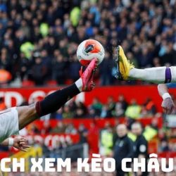 CÁCH XEM KÈO CHÂU ÂU VÀ TÍNH KÈO CHÂU ÂU HIỆU QUẢ