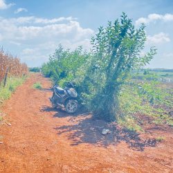 2,5 ha, hẻm tân hội, đức trọng cũ, lâm đồng
