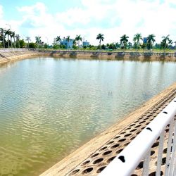 *ĐẤT THỔ CƯ 100% - VỊ TRÍ TRUNG TÂM – MẶT TIỀN*