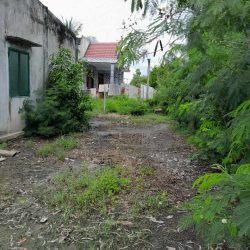 Cần bán đất cho con đi du học