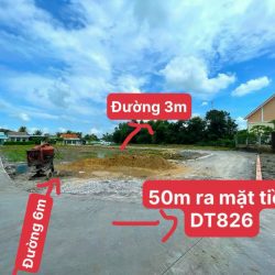 Tại mỹ lệ - cần đước - long an