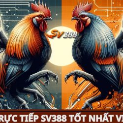 Đắm chìm trong thế giới đá gà đỉnh cao cùng ĐÁ GÀ SV388