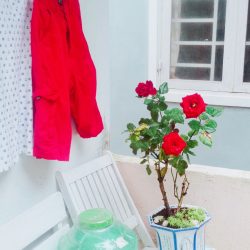 Cho thuê phòng trọ nam giá rẻ tại tp ĐàLạt: 0909164448
