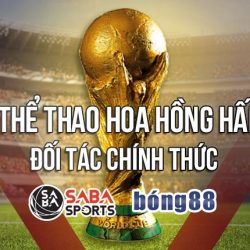 Lvs788 Nơi bạn thỏa mãn đam mê cá cược online