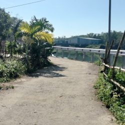 Đất nhà vườn view sông rẻ đẹp Hòa Nhơn 1 tỷ 290tr/280m2
