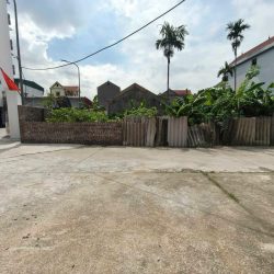Chồng ốm, con thơ. Cần bán gấp, 80m2, mt5m, 8.x Tỷ, Nguyên Khê, Đông Anh. 3 ô