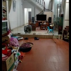 Mặt phố nam dư bán 67M tặng nhà lô góc hoàng mai