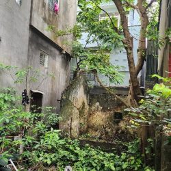 Bán đất ngõ quỳnh 68M hai bà trưng giá đầu tư