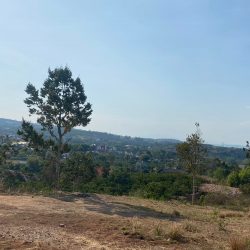hơn 1ha đất hẻm thiện chí ninh gia đức trọng view bao đẹp chỉ 12 tỷ