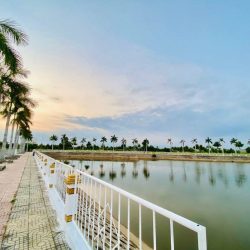 CHÍNH CHỦ BÁN GẤP LÔ ĐẤT NẰM NGAY KHU VỰC TRUNG TÂM