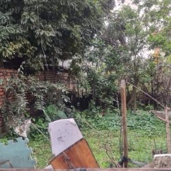 Bán đất thanh lân siêu rẻ 52M ngõ rộng đẹp gần phố hoàng mai