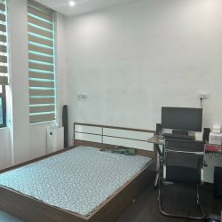 Bán nhà tam trinh 5 tầng phân lô vỉa hè ô tô dừng đỗ kinh doanh hoàng mai